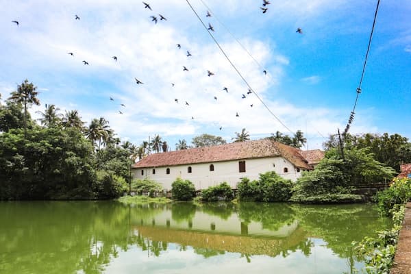 show all photos of 2323