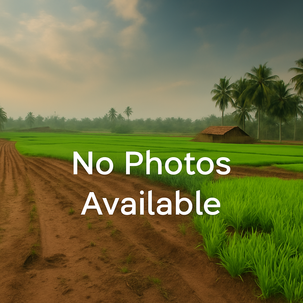 CommercialProperties for sale 2000000 euro Kochi, Kerala, Kochi, Kerala